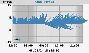 Wind Vector, Kinsale